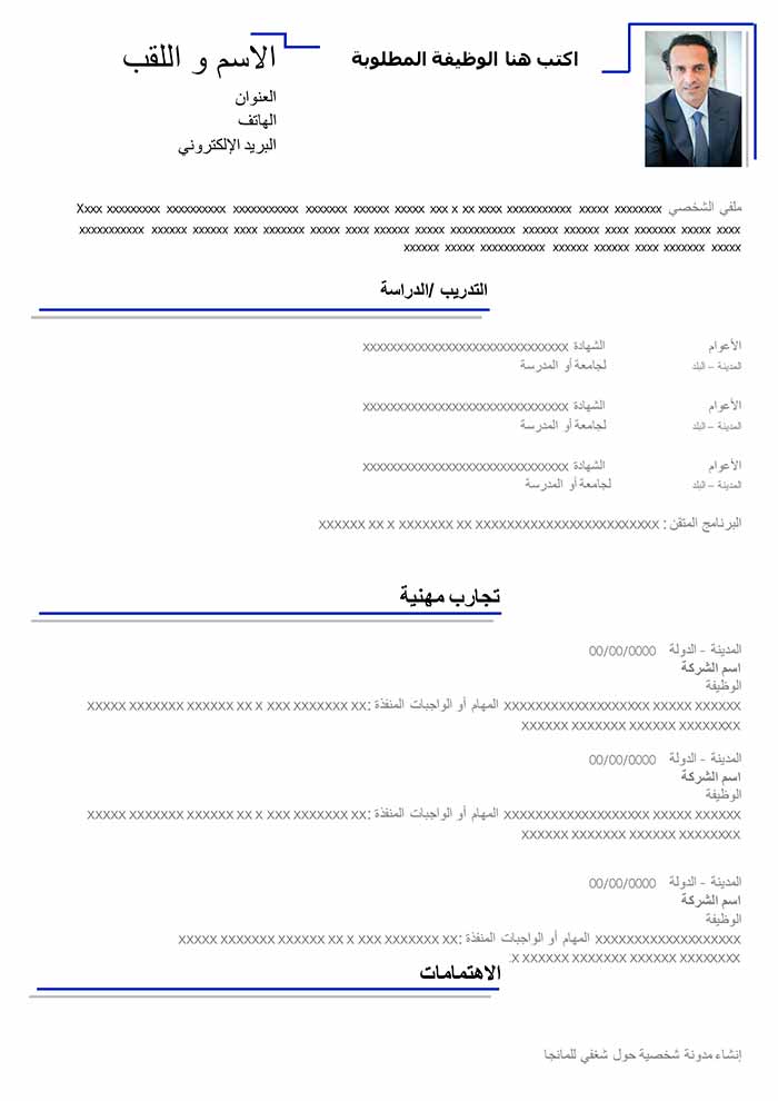 22 cv template academic blue